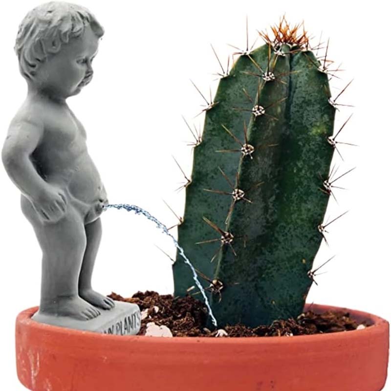 Plassende jongen die zelf water geeft