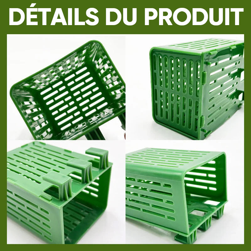 Panier de plantation hydroponique pour aquarium