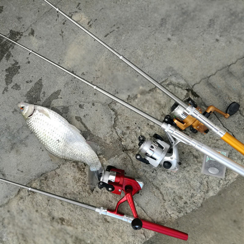 Canne à pêche de poche