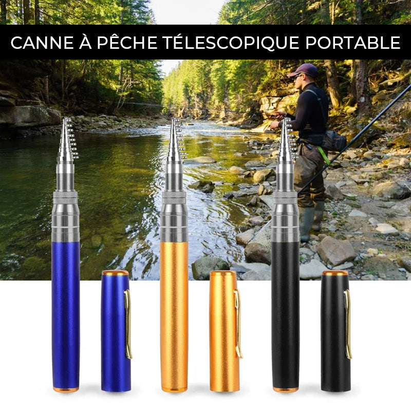Canne à pêche de poche