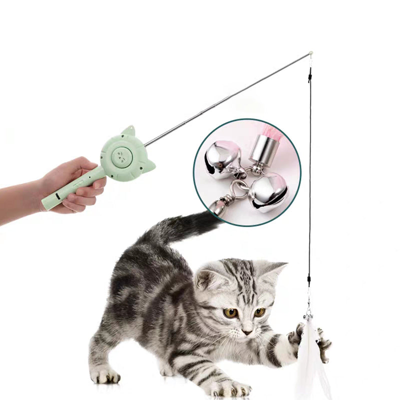 Peigne multifonctions pour animaux de compagnie