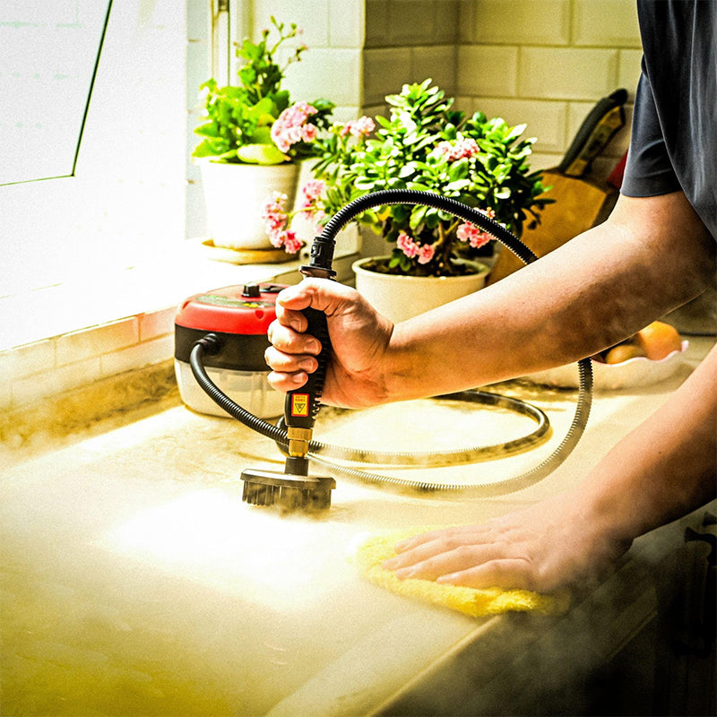 Handheld Stoomreiniger