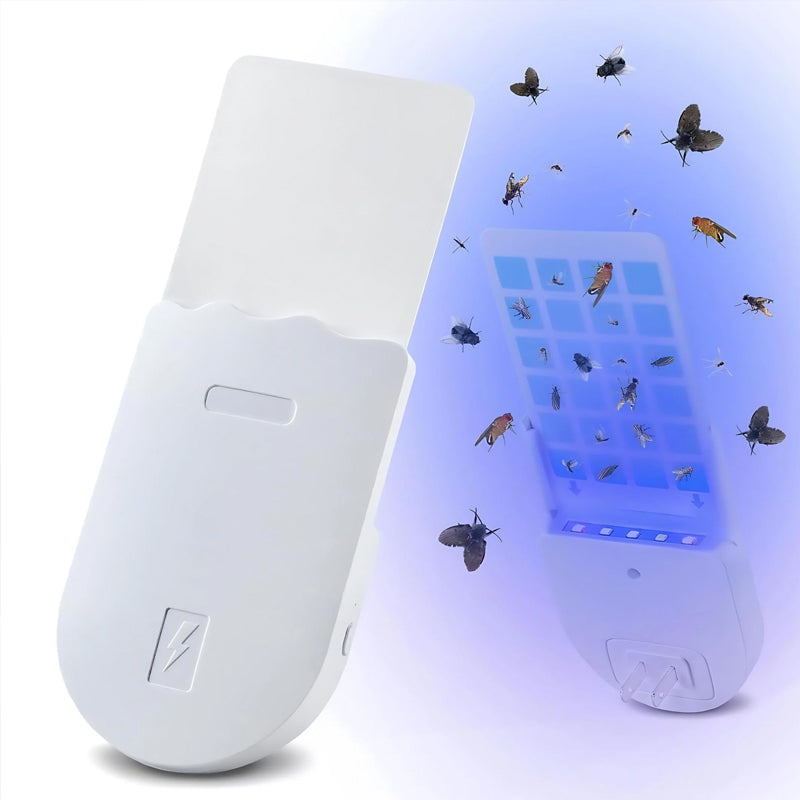Insectenval met nachtlampje