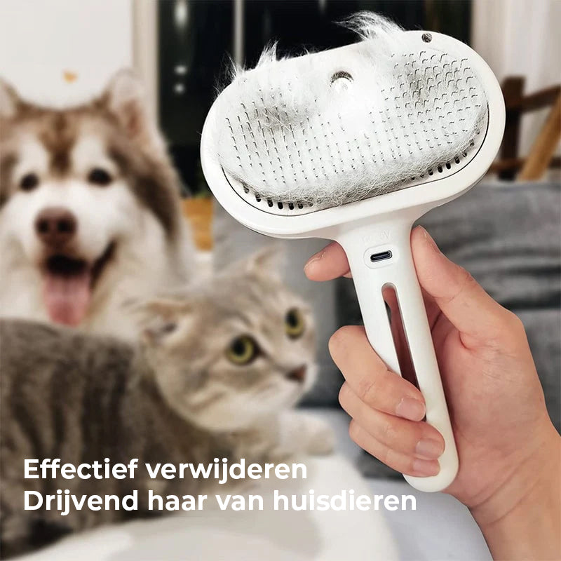 Spray kattenborstel