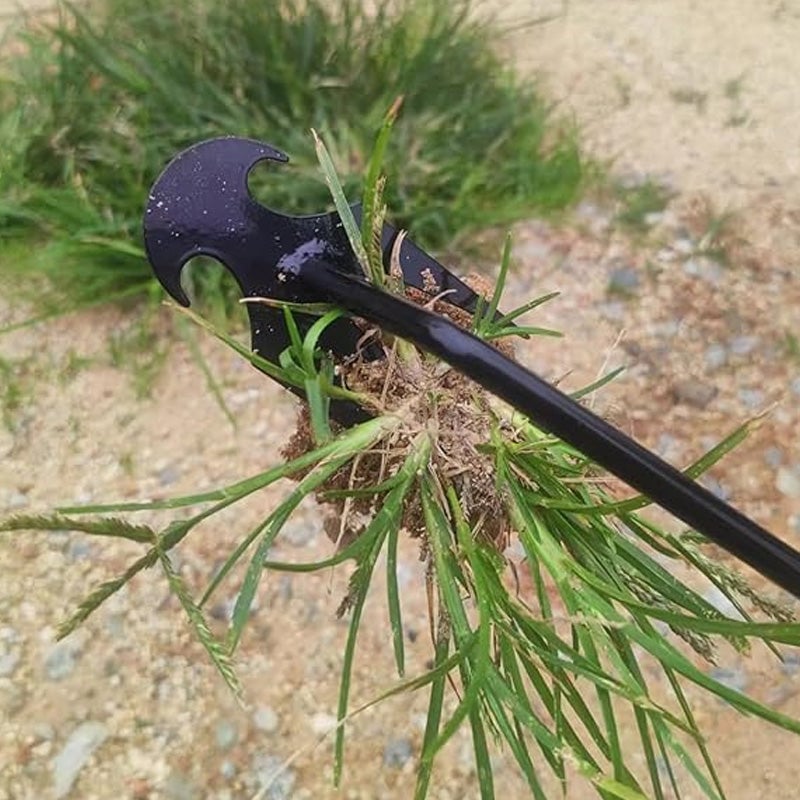 Tuin onkruid verwijderen gereedschap