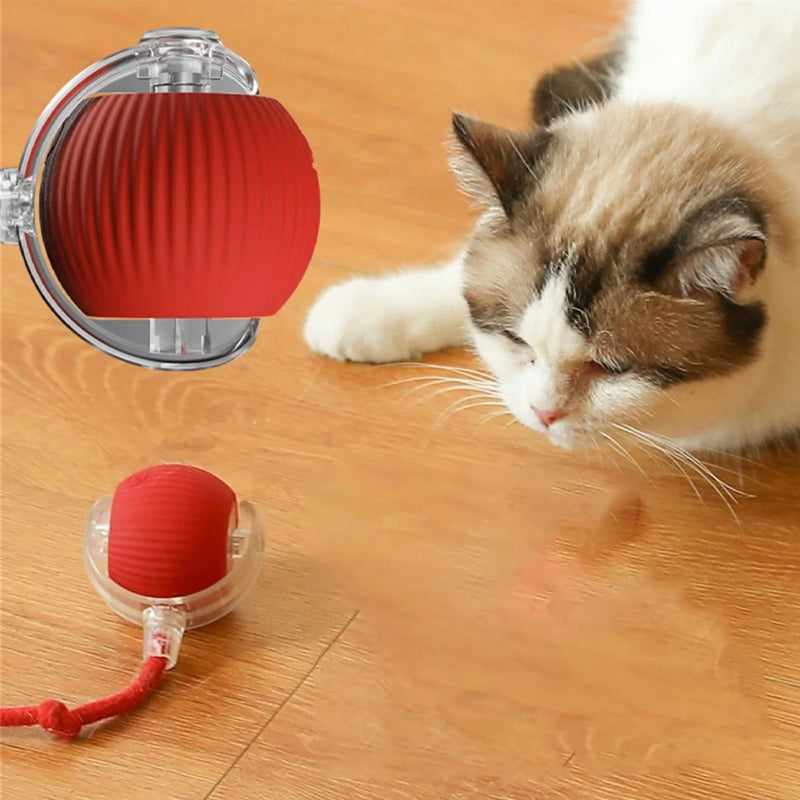 Slimme interactieve kattenbal