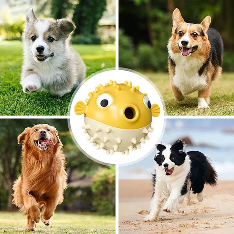 Jouet à mâcher en forme de poisson clown pour chien