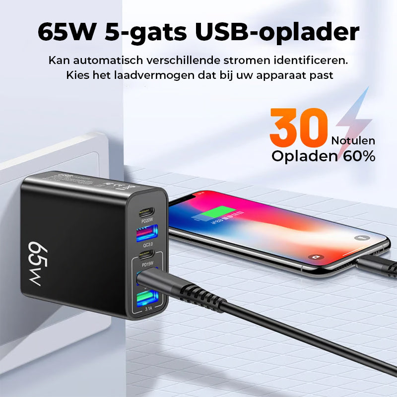 Snelle oplader voor meerdere poorten 65 W - EU-norm