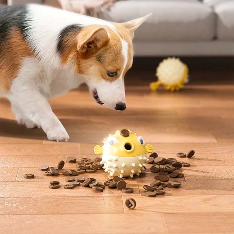 Jouet à mâcher en forme de poisson clown pour chien