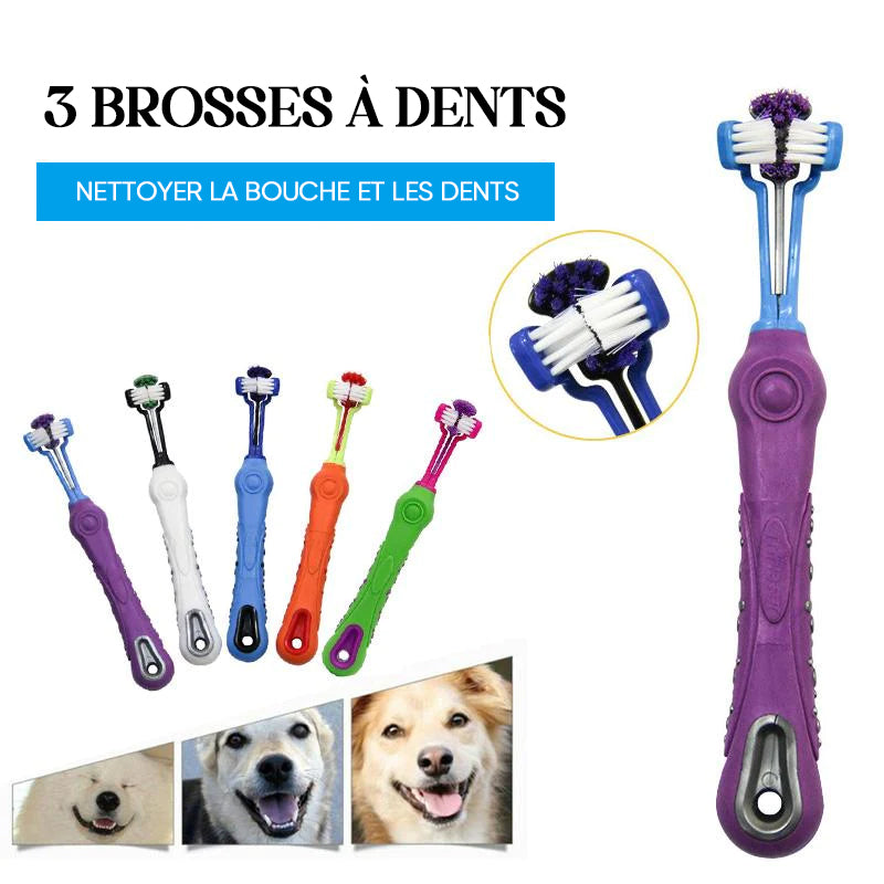 Brosse à dents pour animaux de compagnie à trois côtés