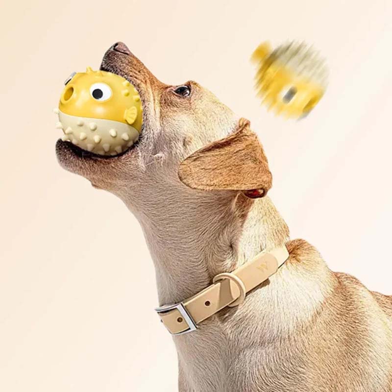 Jouet à mâcher en forme de poisson clown pour chien