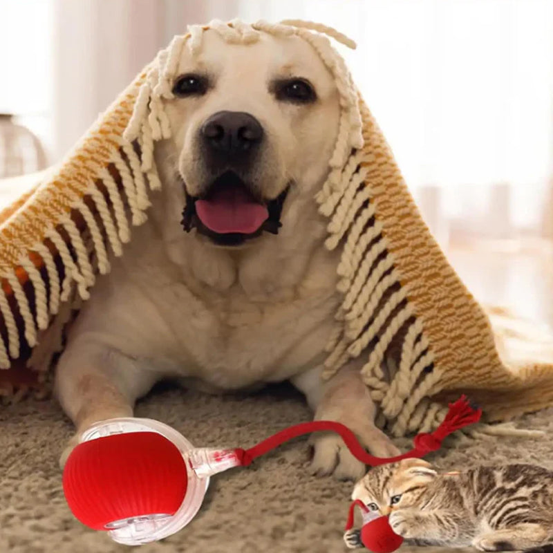 Slimme interactieve kattenbal