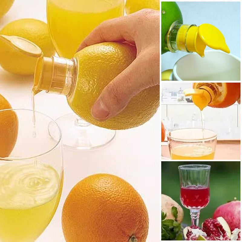 Extracteur de jus compact avec couvercle (2 pièces)