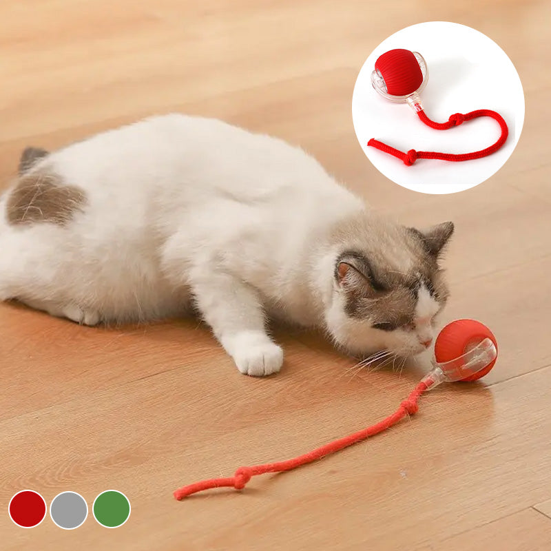Interactieve bal voor binnenkatten