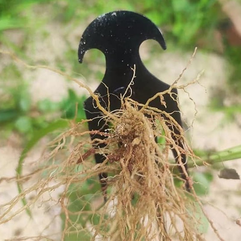 Tuin onkruid verwijderen gereedschap