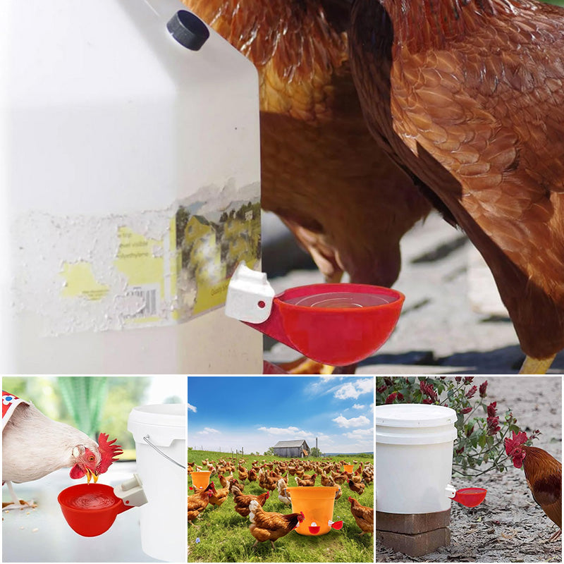 Automatische waterbekers voor kippen (6 stuks)