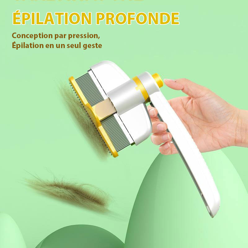 Brosse lissante autonettoyante