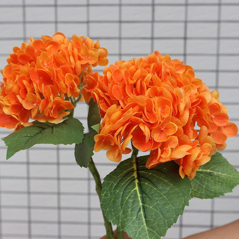 Kunsthortensia's voor buiten