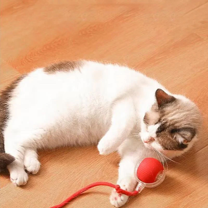 Slimme interactieve kattenbal