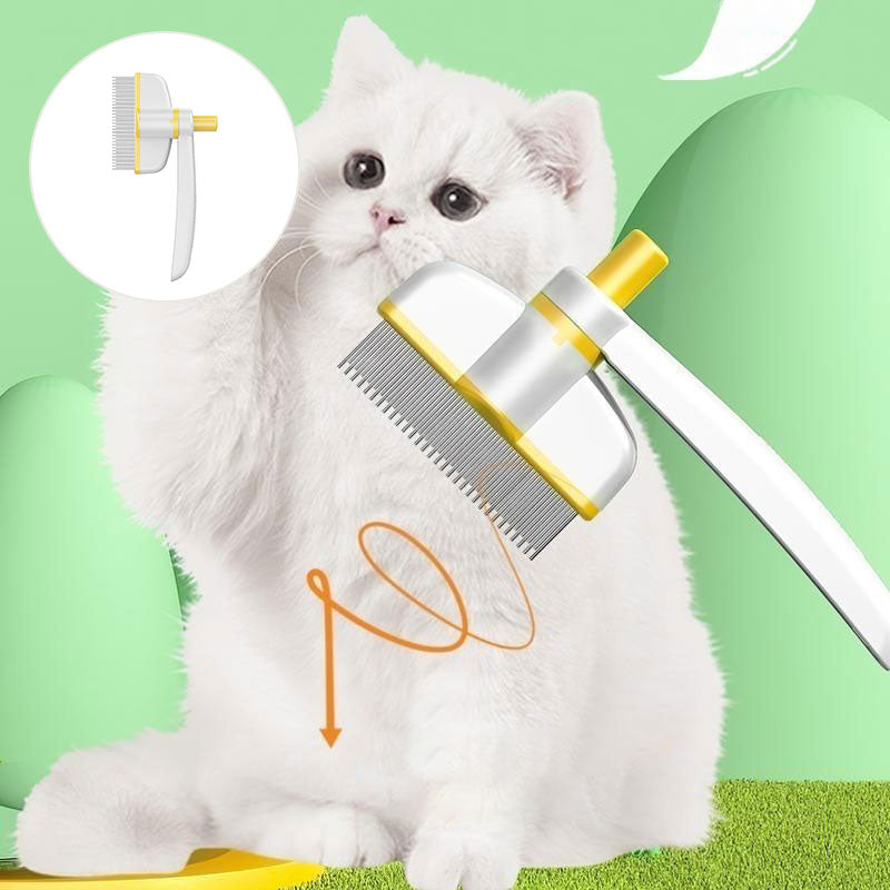 Brosse lissante autonettoyante