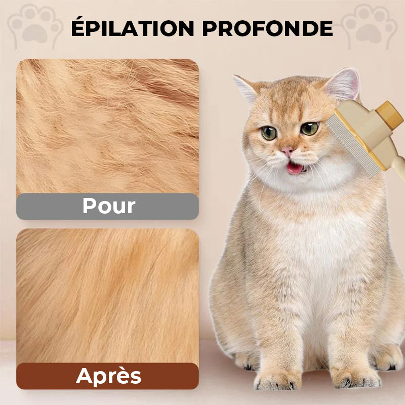 Brosse de Toilettage Autonettoyante pour Animaux