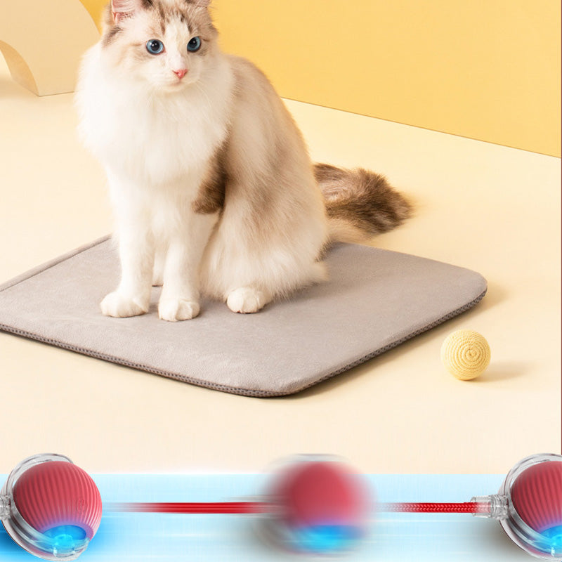 Interactieve bal voor binnenkatten