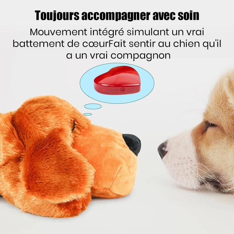 Jouet d'accompagnement anti-stress pour chien avec simulation de battement de cœur