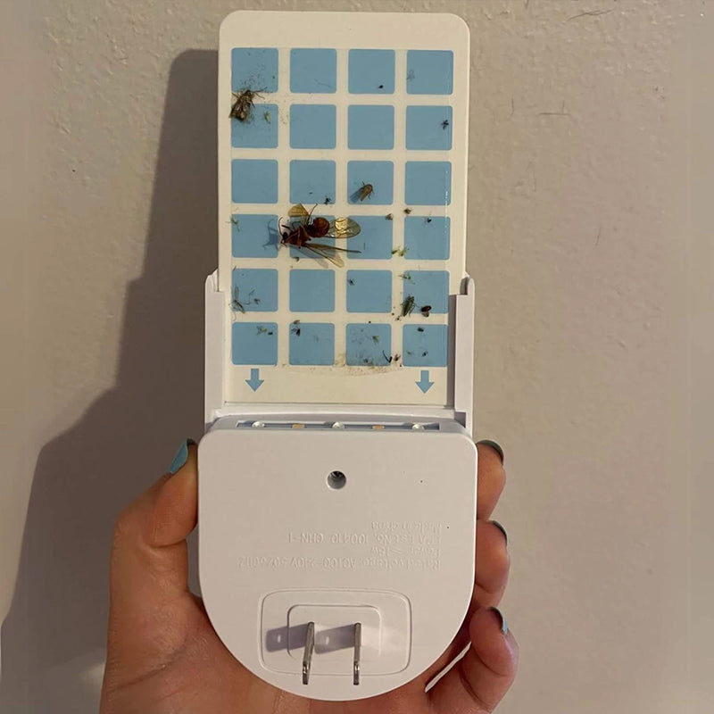 Insectenval met nachtlampje