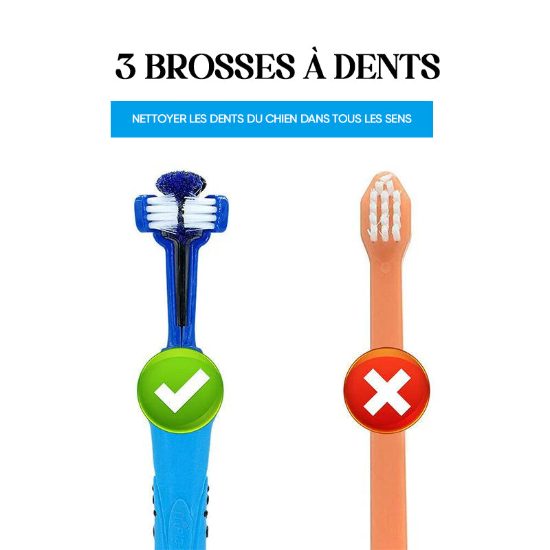 Brosse à dents pour animaux de compagnie à trois côtés