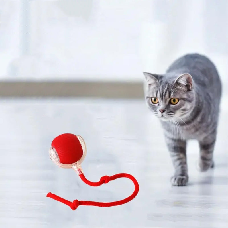 Interactieve bal voor binnenkatten