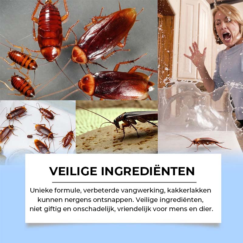Effectieve kakkerlakken lokaasmatten