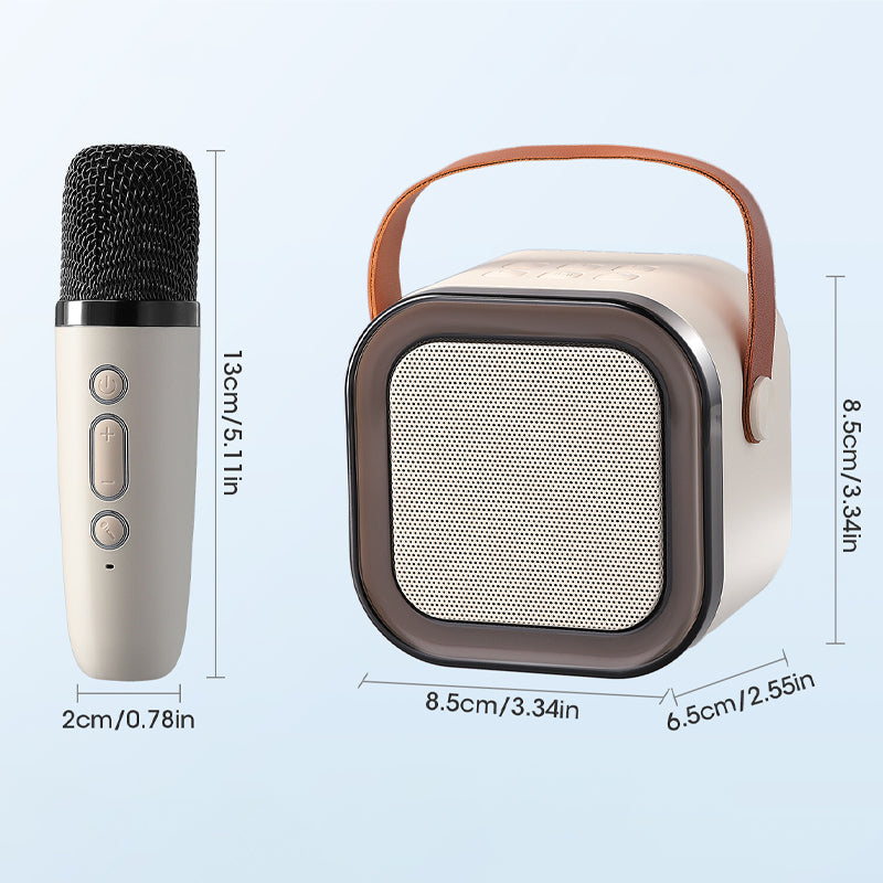 Mini Karaoke Machine met draadloze microfoons
