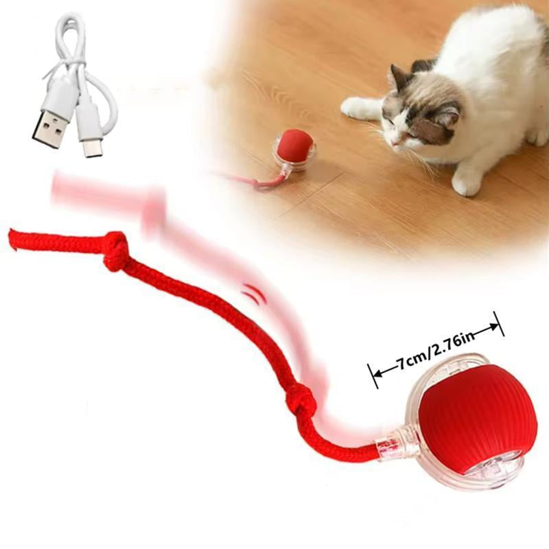 Slimme interactieve kattenbal