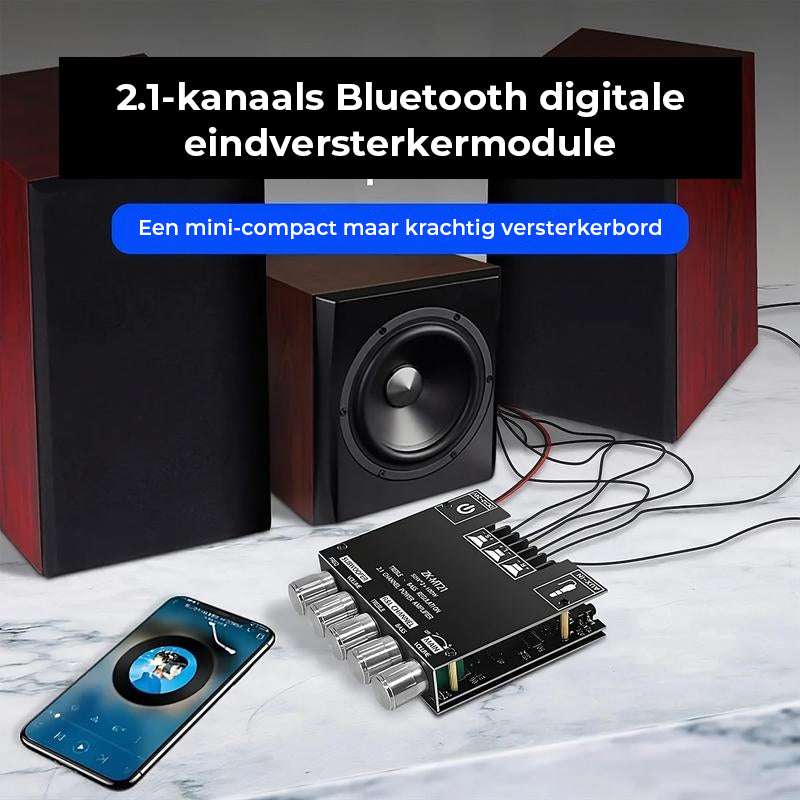 2.1-kanaals audio-ontvanger-versterkermodule