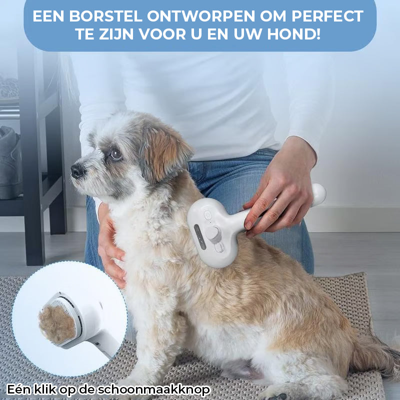 Spray kattenborstel