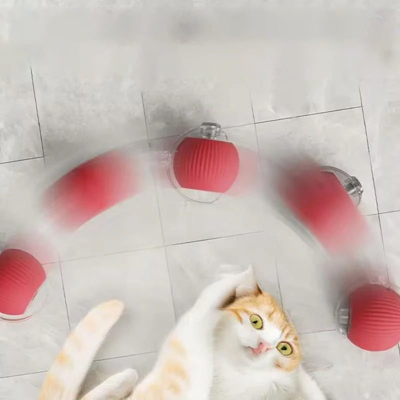 Slimme interactieve kattenbal