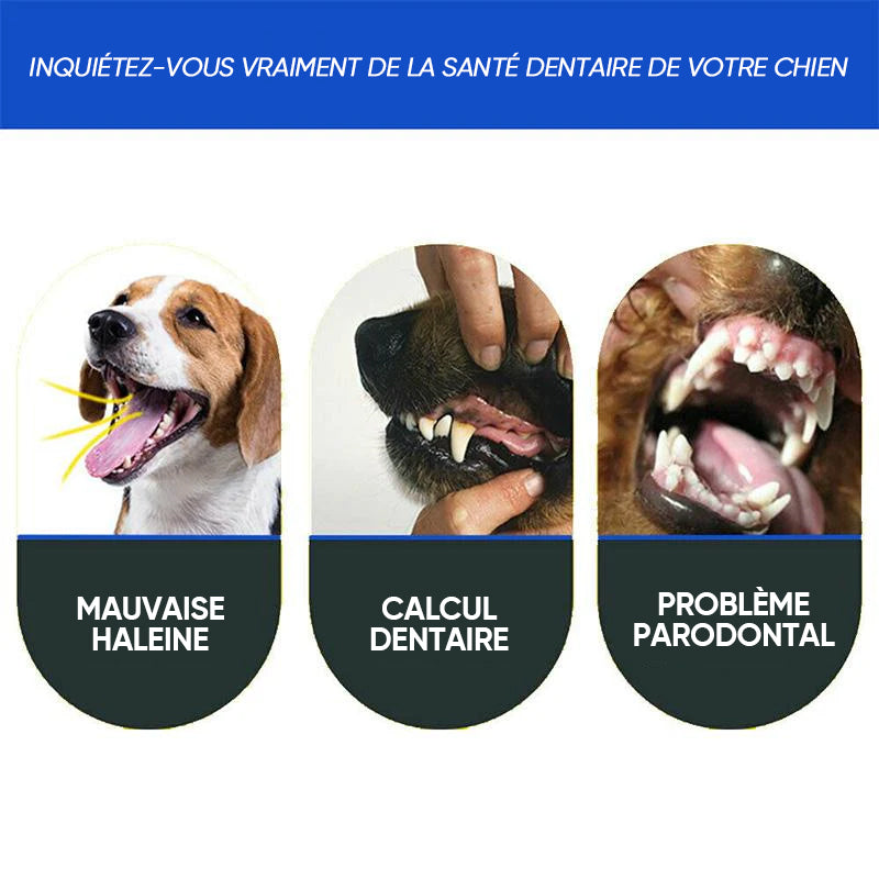 Brosse à dents pour animaux de compagnie à trois côtés