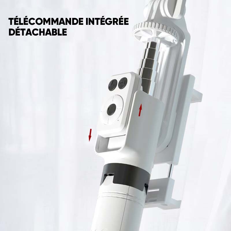 Nouveau bâton de selfie 6 en 1 avec lumière d'appoint