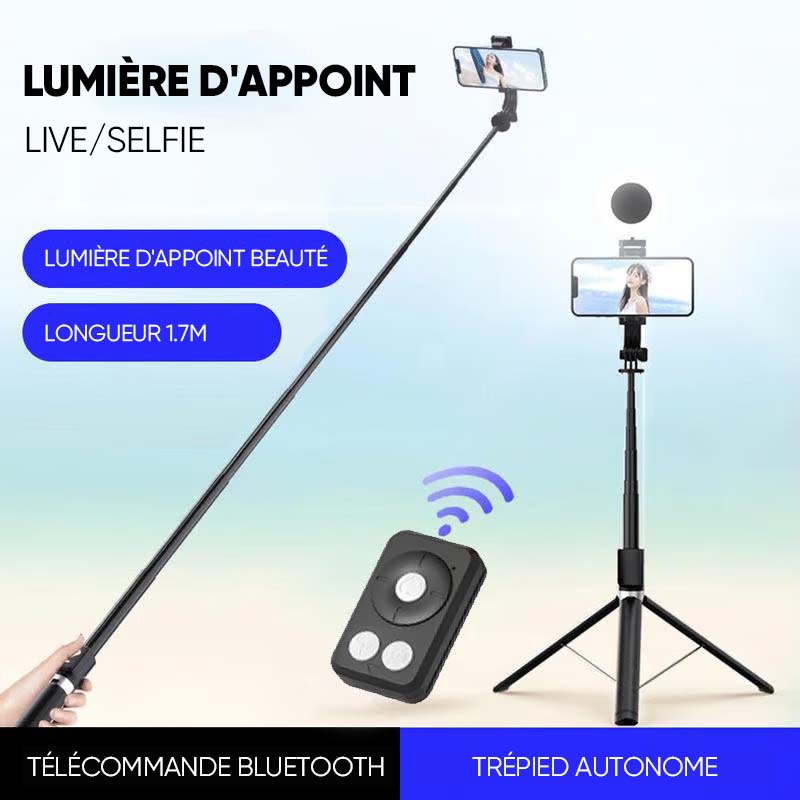 Nouveau bâton de selfie 6 en 1 avec lumière d'appoint