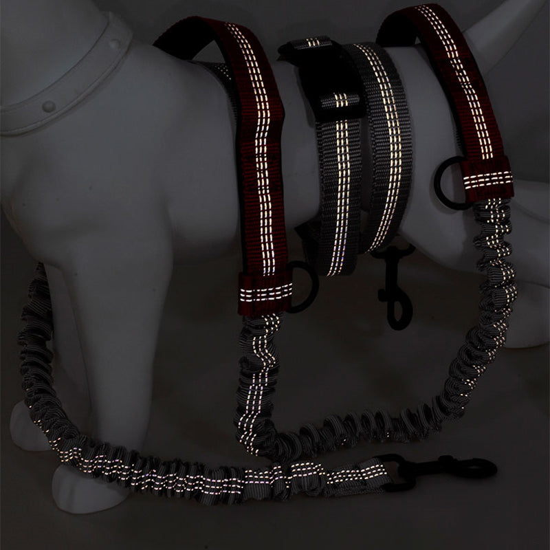 Laisse pour chien mains libres