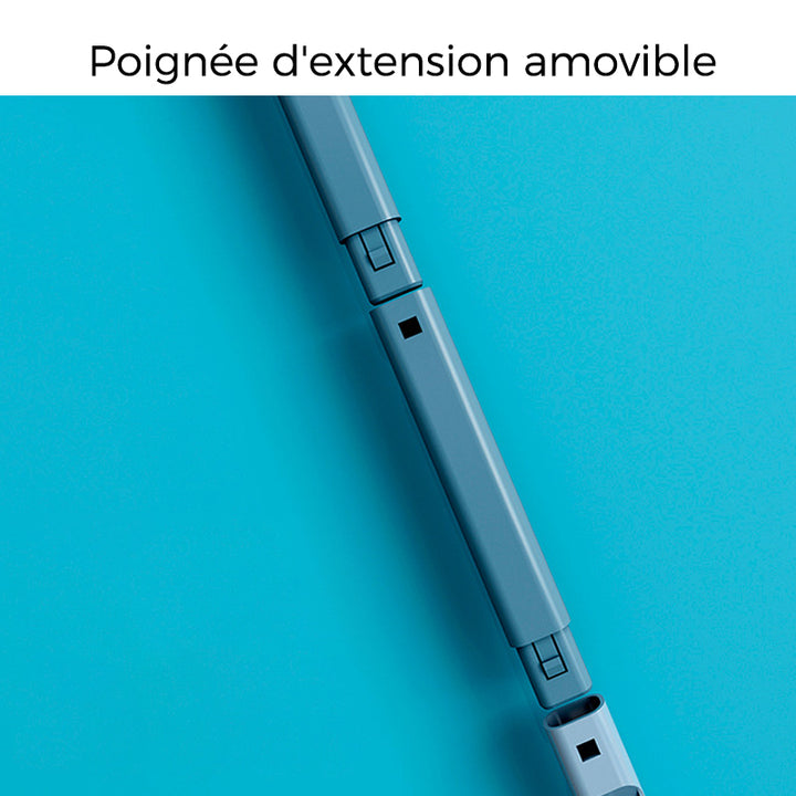 Enlève-poils Réutilisable pour Animaux