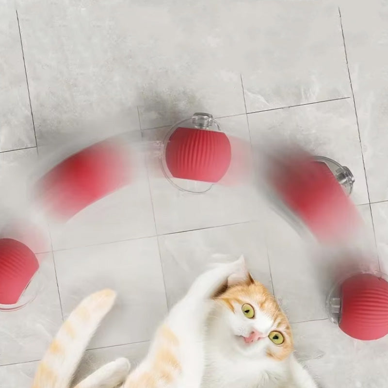 Interactieve bal voor binnenkatten