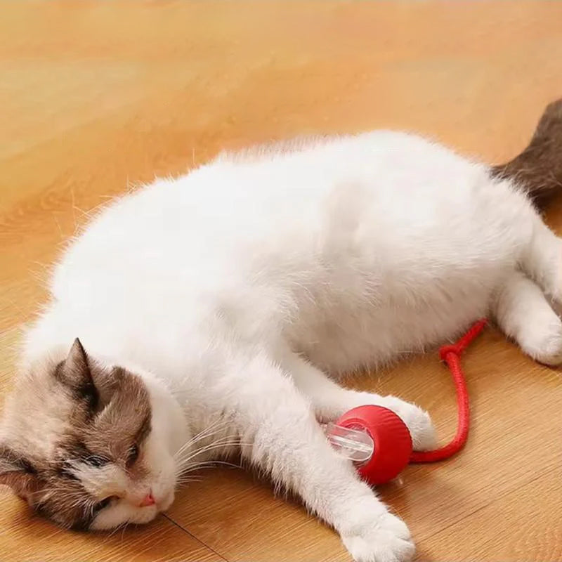 Slimme interactieve kattenbal