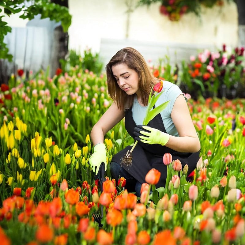 Tuin onkruid verwijderen gereedschap