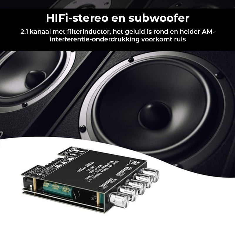 2.1-kanaals audio-ontvanger-versterkermodule