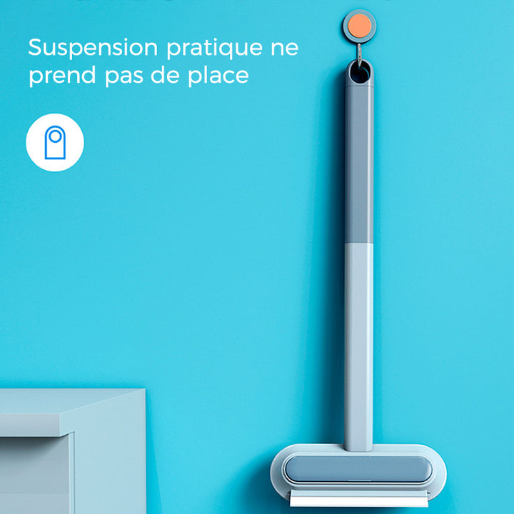 Enlève-poils Réutilisable pour Animaux