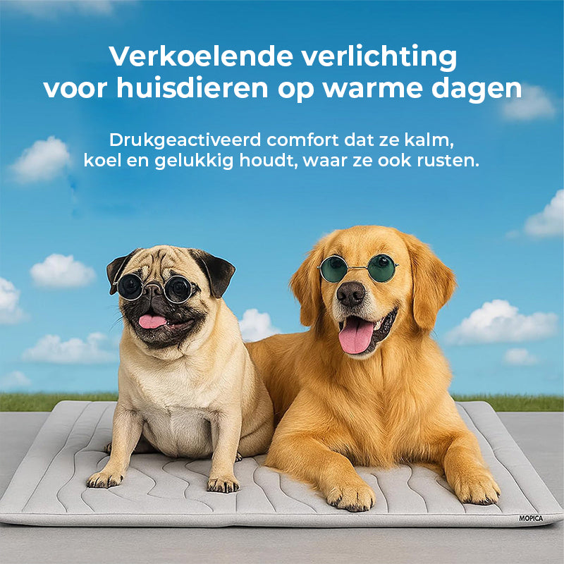 Omkeerbare koelmat voor huisdieren
