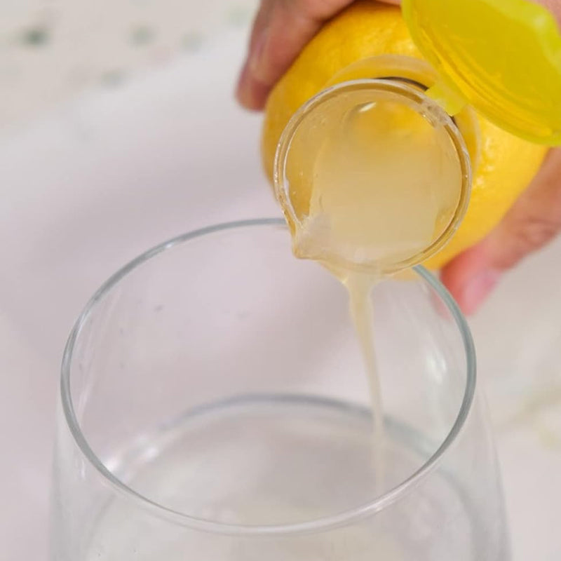 Extracteur de jus compact avec couvercle (2 pièces)