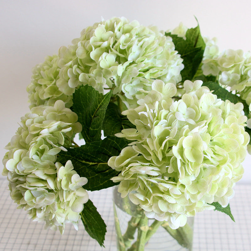 Kunsthortensia's voor buiten