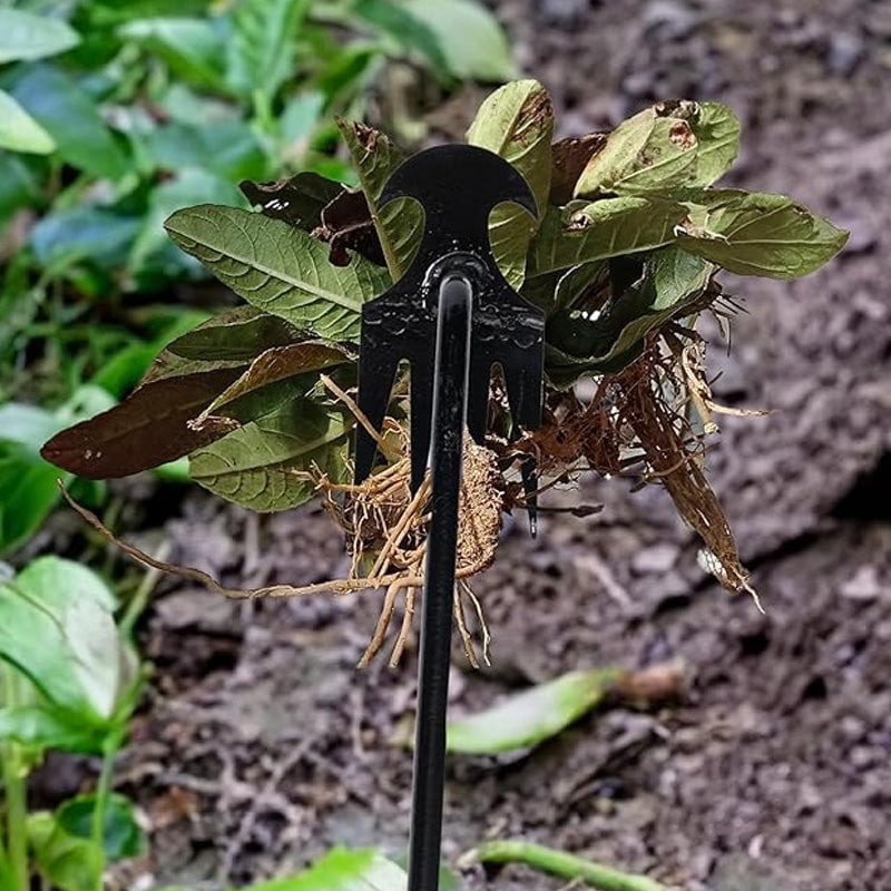 Tuin onkruid verwijderen gereedschap
